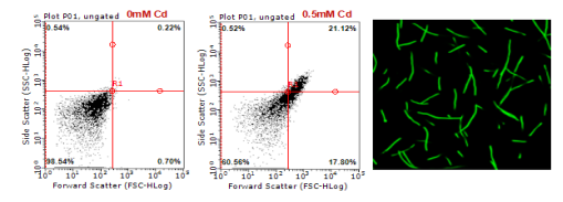 bc7026212e0b4e6d8eeb6a00ea8a3212.png image.png