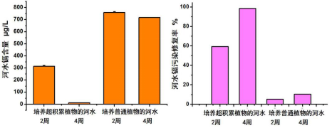 52e9a1058d50400590f99e776fc0ff35.png image.png